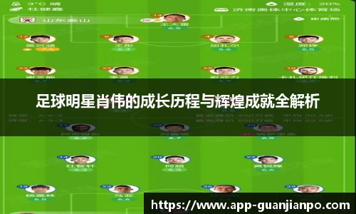 足球明星肖伟的成长历程与辉煌成就全解析